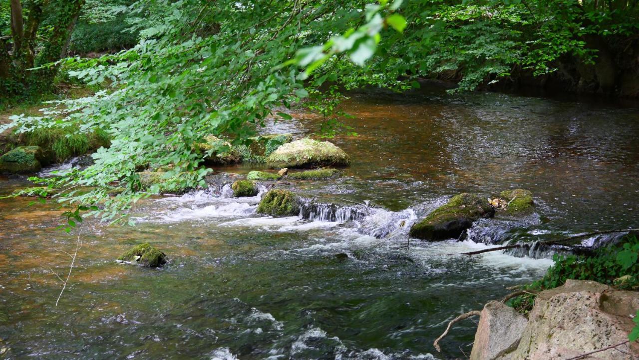Les Chalets Du Moulin De Valade Condat-sur-Trincou ภายนอก รูปภาพ